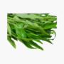 Vegetable Replica